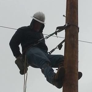 Meet your Posher, Timothy